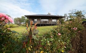 Maunga Roa Eco Lodge
